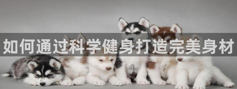 龙8国际最新官网