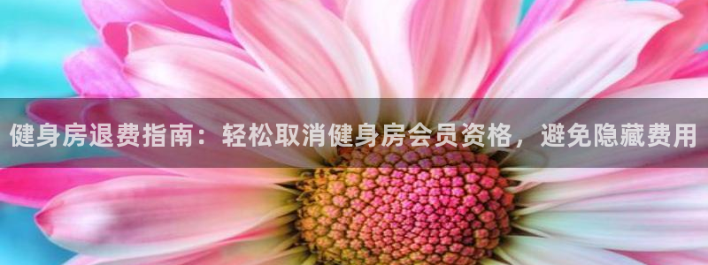 龙八国际app下载客户端