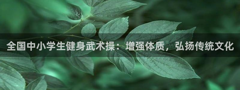 龙8游戏官网