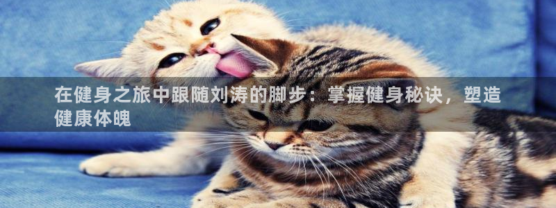 龙8国际手机游戏官网