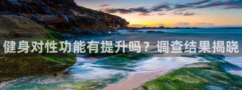 龙8国际网页版下载
