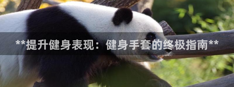 龙八国际娱乐官网app