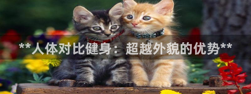 龙8国际2021官方网站pkufli1.291