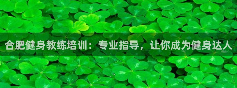 龙8国际官网多少