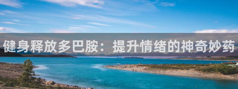 龙8国际long123