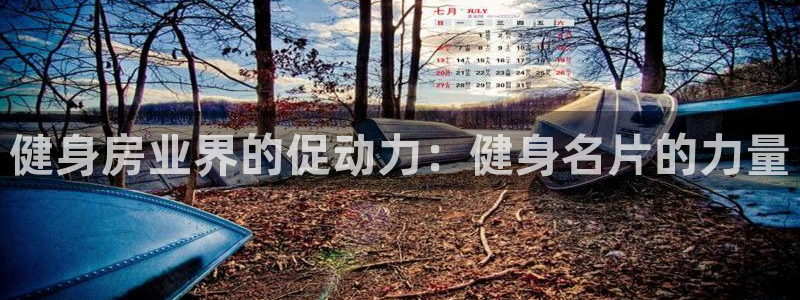 龙8国际网页登陆