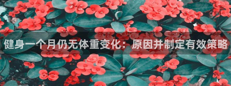 龙8娱乐官方老虎机中国大陆