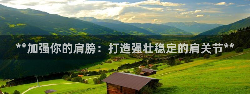 龙8国际官方网