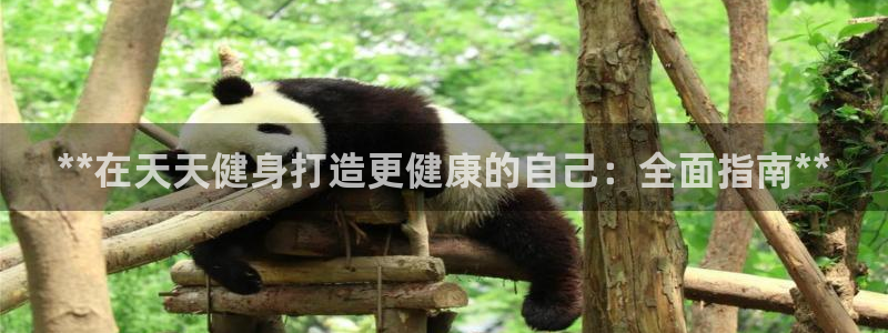 龙8国际官方网站苹果版