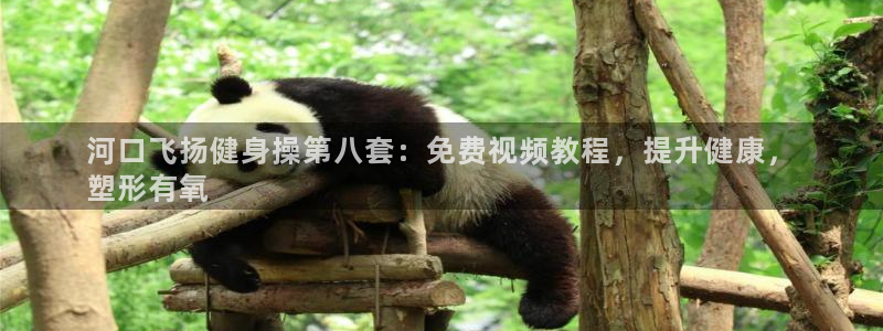 龙8娱乐官方老虎机中国大陆