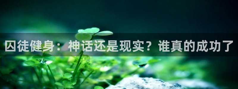龙八国际下载官网平台