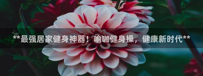 龙8手机游戏官网