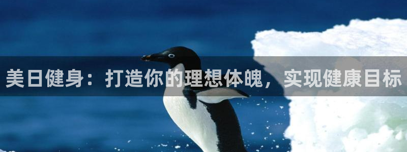龙8国际网址