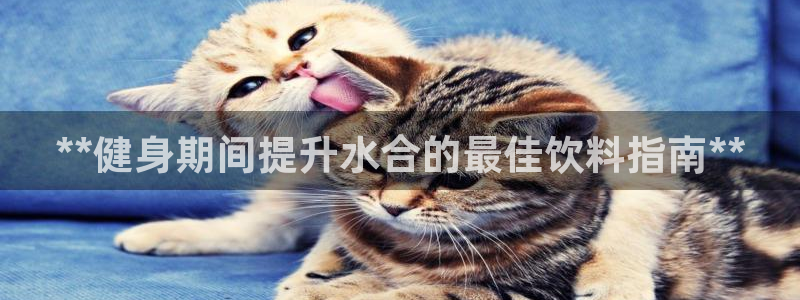 龙八国际娱乐官方网站