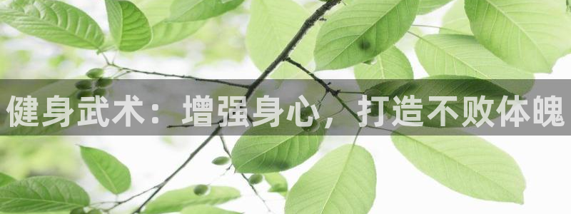 龙8国际官网版最新版下载