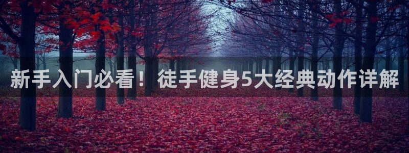 龙8国际官网版