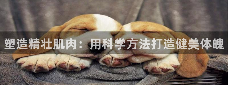 龙8国际官方网址