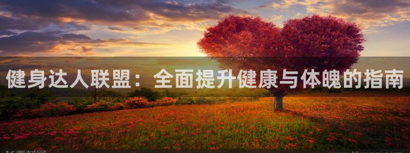 龙8国际com