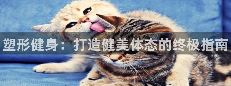 龙8国际2020官方网站