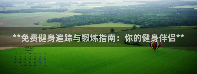 龙 八国际