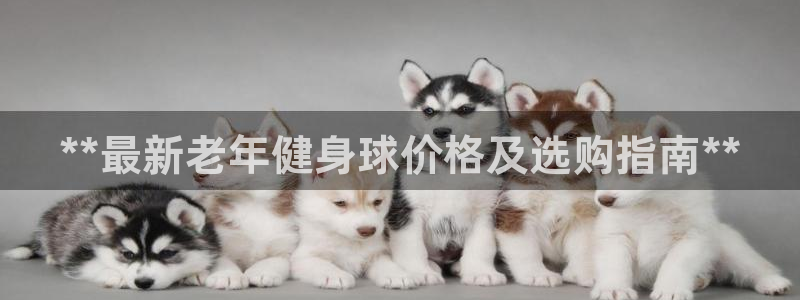 龙8国际老虎机官方