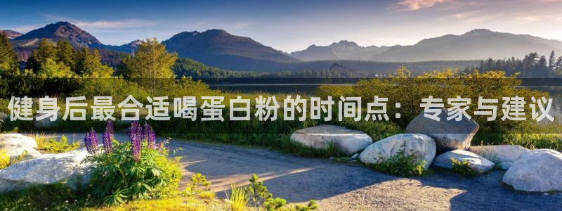 龙8国际平台