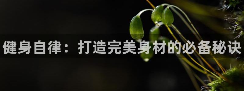 龙8国际游戏