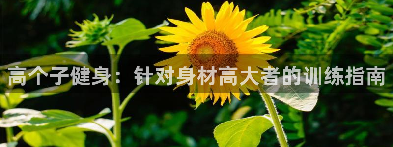 龙8游戏官方进入