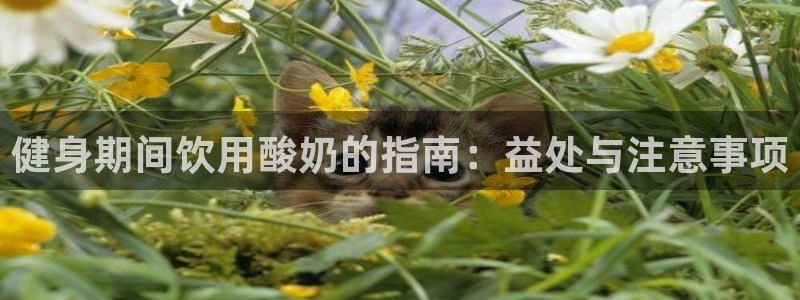 龙八国际app客户端下载