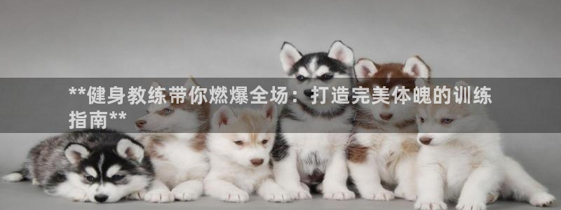 龙8国际app下载安装