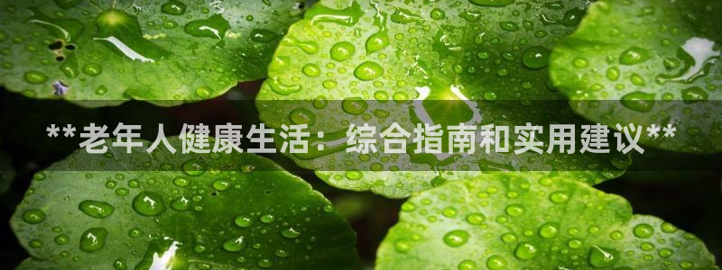 龙8国际娱首页
