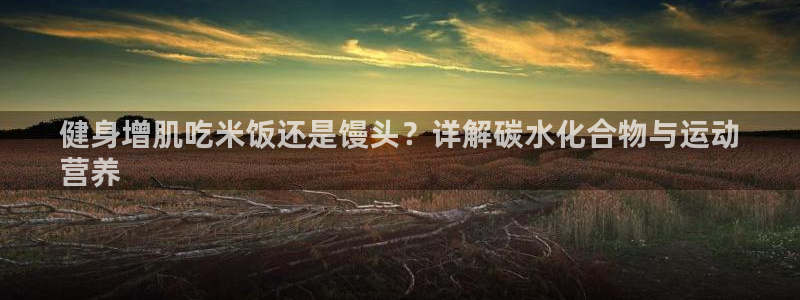 龙8国际城