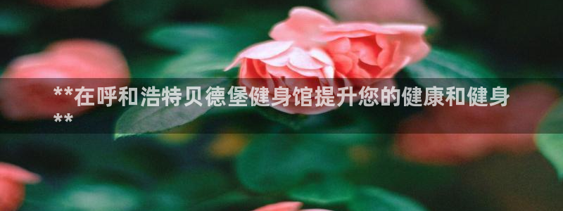 龙8国际app下载安装