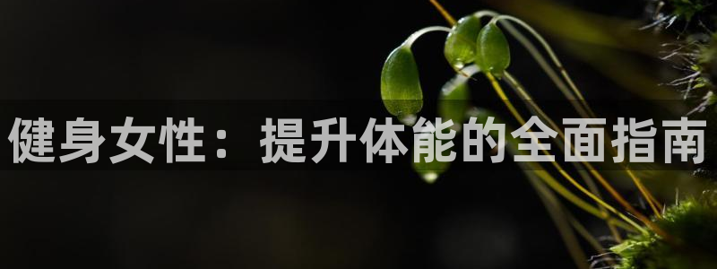 龙8游戏城网址