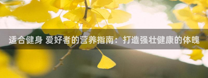 龙八国际城