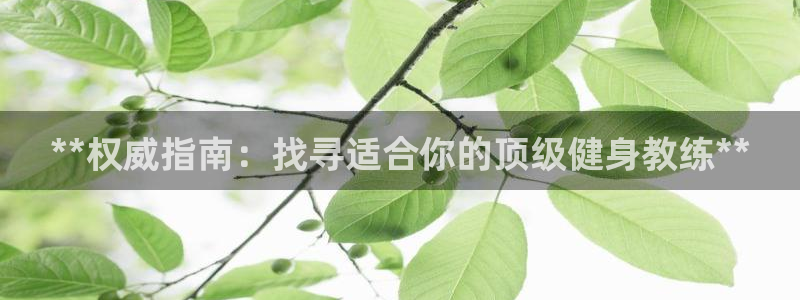 龙八国际网页