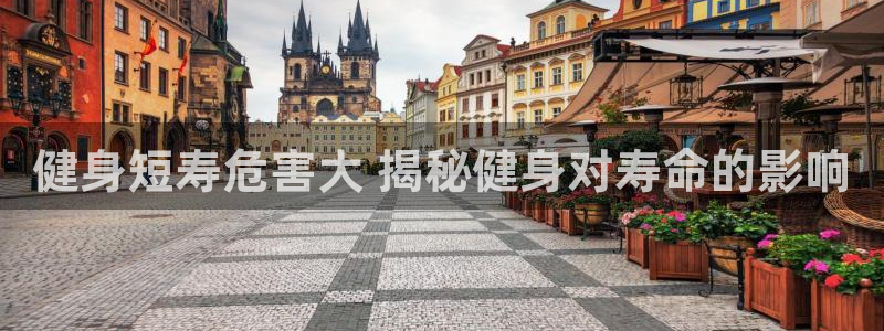 龙8国际游资如何