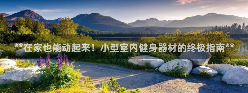 龙8游戏平台的网站