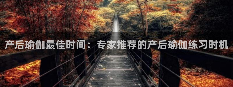 龙8国际官方网手机版下载安装