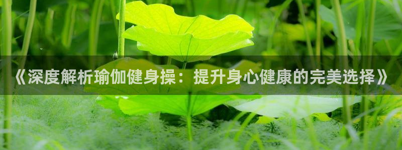 龙8国际游戏官网
