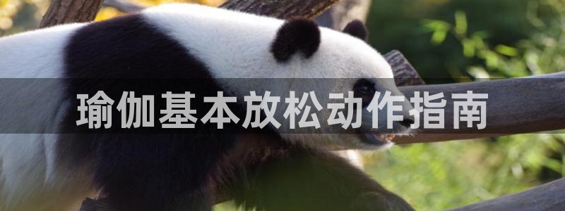 龙8国际欢迎您