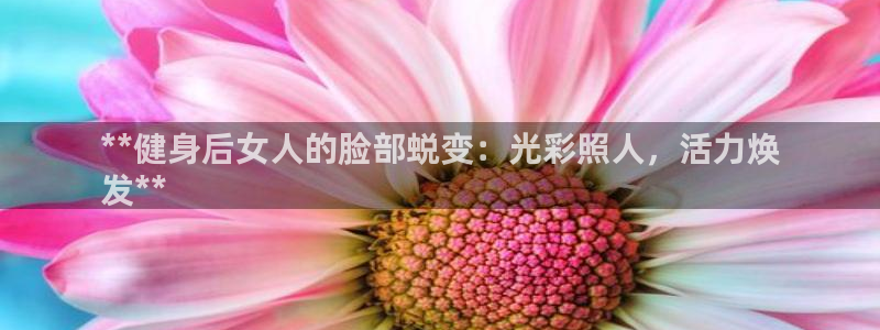 龙八国际pt
