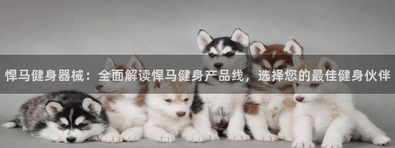 国际龙8官方网站