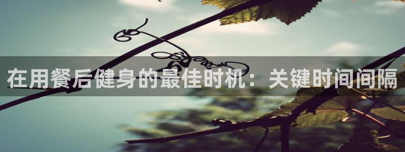 龙8国际的漏洞