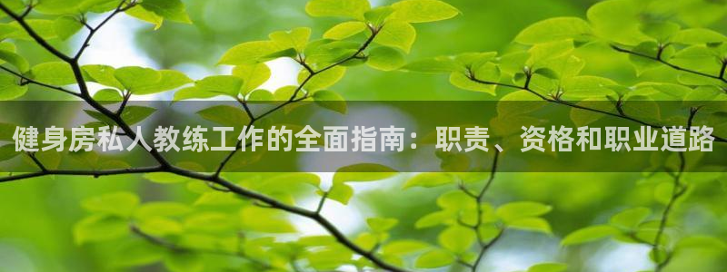 龙8国际手机官网下载安装