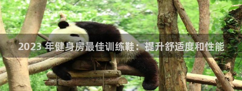 龙8国际官网点此进入游戏