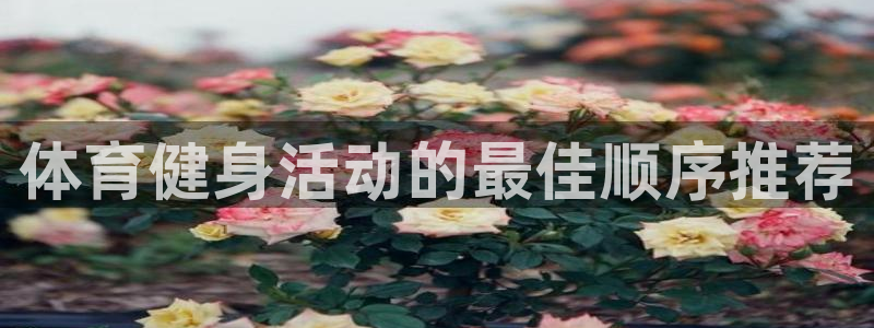 龙8棋牌官网