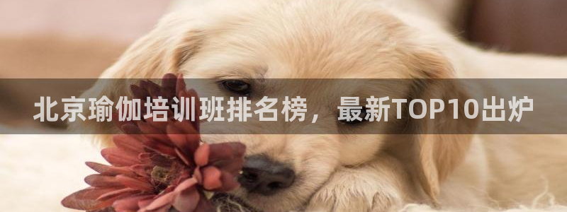 龙8国际网页版