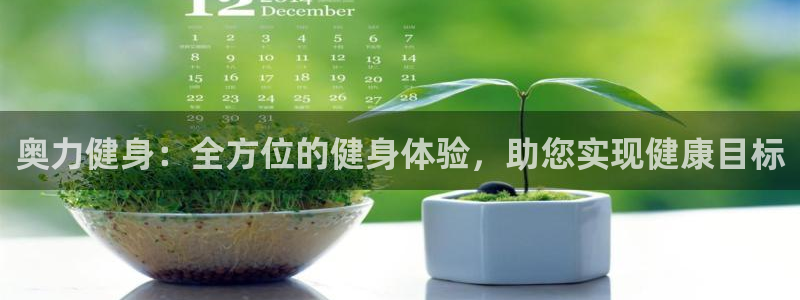 龙8国际手机登