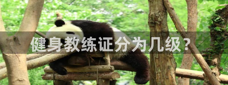 龙8国际pt官网
